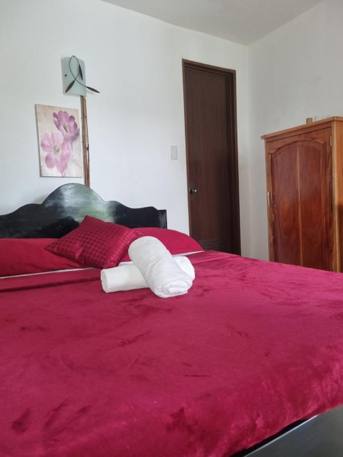 Southpoint Hostel Moalboal Ngoại thất bức ảnh